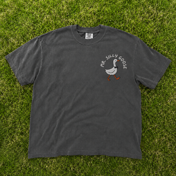 Embroidered Funny Groom Shirt, Silly Goose Groom T Shirt, Mr. Silly Goose Son-0091