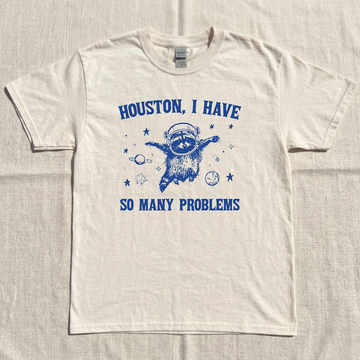 Raccoon Have So Many Problem Tshirt, Funny Feral Animal Shirt B-00112