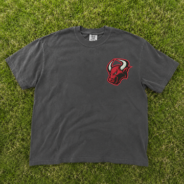 Bull Head Sports Embroidery Design Tshirt, Game Day Sporty Team Outfits B-0099