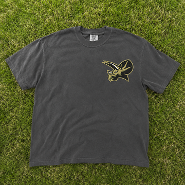 Triceratops Head Bold Mascot Embroidery Design Tshirt, Game Day Sporty Team B-00103