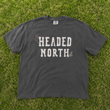 Unisex Headed North Printed Tee, Sad Bug Summer Shirt, Indie Folk Divide Concert Distressed Varsity Tshirt B-0085