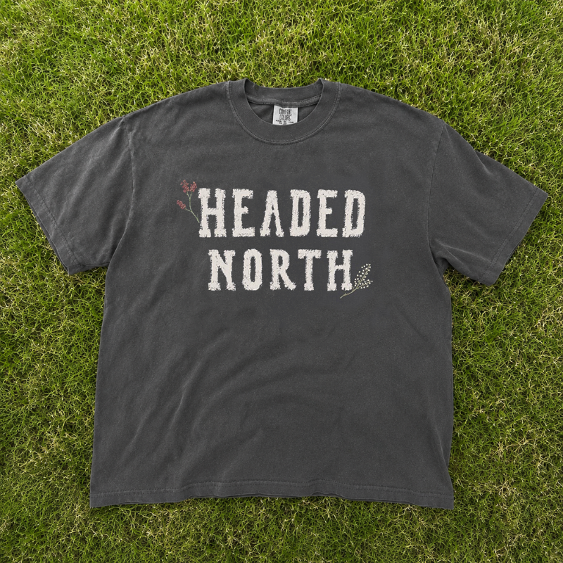 Unisex Headed North Printed Tee, Sad Bug Summer Shirt, Indie Folk Divide Concert Distressed Varsity Tshirt B-0085