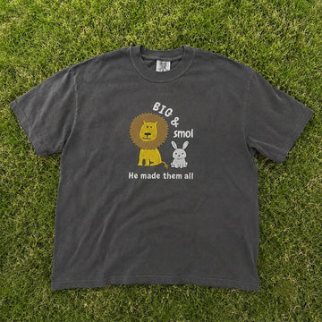 BIG AND SMOL HE MADE THEM ALL CUTE LION BUNNY CHRISTIAN EMBROIDERED TEE CT-0069