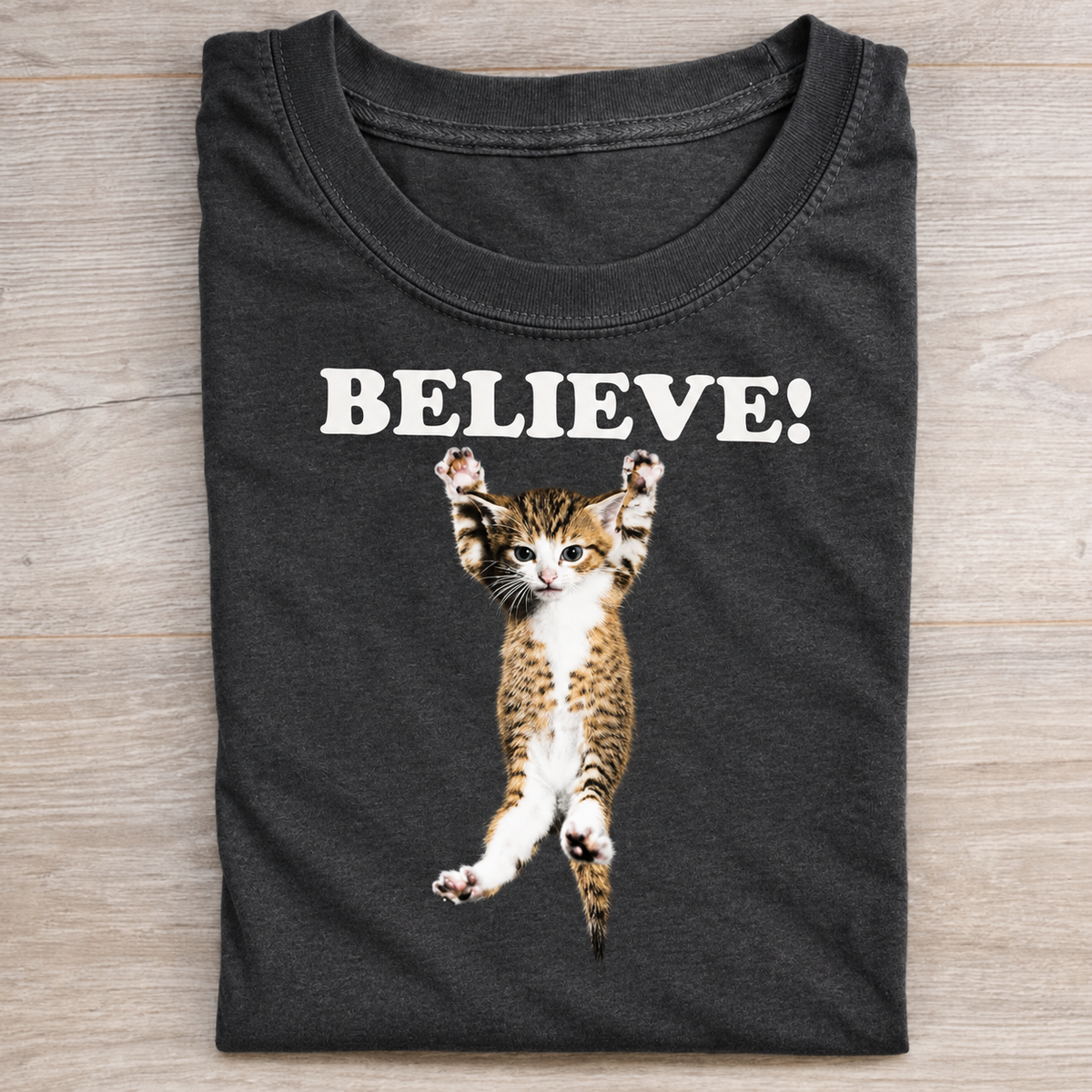 Believe Cat Hang In There SHIRT HHUE - 157