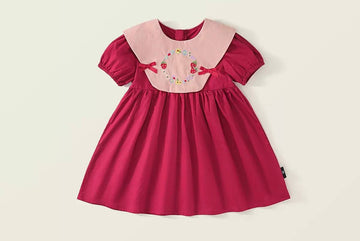 Girls Embroidered Puff Sleeve Dress