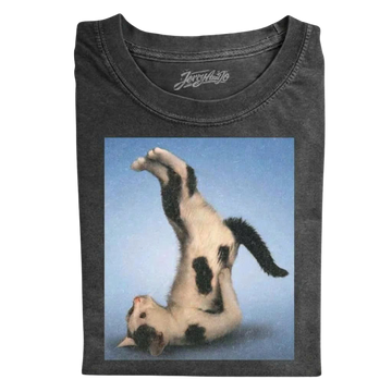 Funny Cat Doing Yoga Graphic Tee Acrobatic Calico Cat Shirt LL - 0138