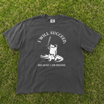 I WILL SUCCEED BECAUSE I AM INSANE TEE, FUNNY FROG RIDING CROCODILE TEE BN-00228