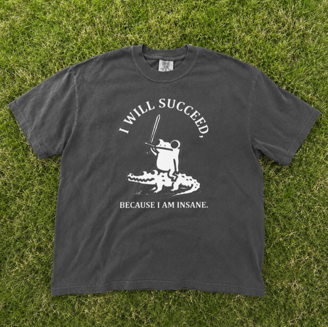 I WILL SUCCEED BECAUSE I AM INSANE TEE, FUNNY FROG RIDING CROCODILE TEE BN-00228