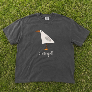 TRIANGULL TRIANGLE SEAGULL BIRD PUN, FUNNY GEOMETRIC SEA GULL TEE CUTE ANIMAL TEE BN-00228