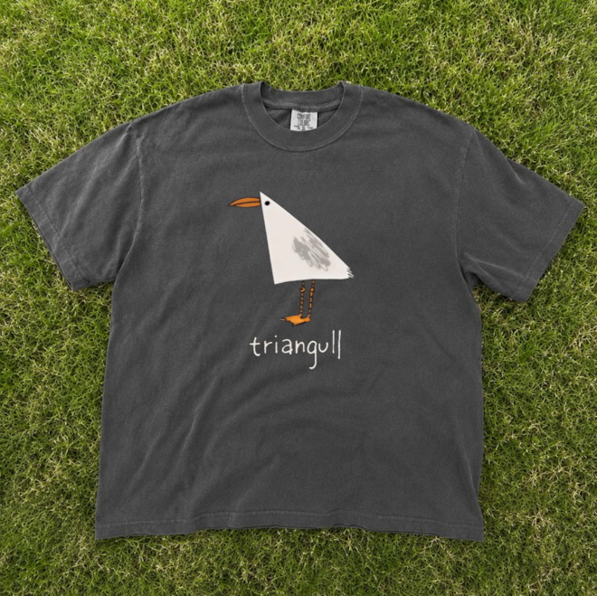 TRIANGULL TRIANGLE SEAGULL BIRD PUN, FUNNY GEOMETRIC SEA GULL TEE CUTE ANIMAL TEE BN-00228