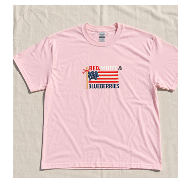 RED, WHITE & BLUEBERRIES EMBROIDERED T-SHIRT – TRENDY SUMMER USA FLAG TEE LL - 0047